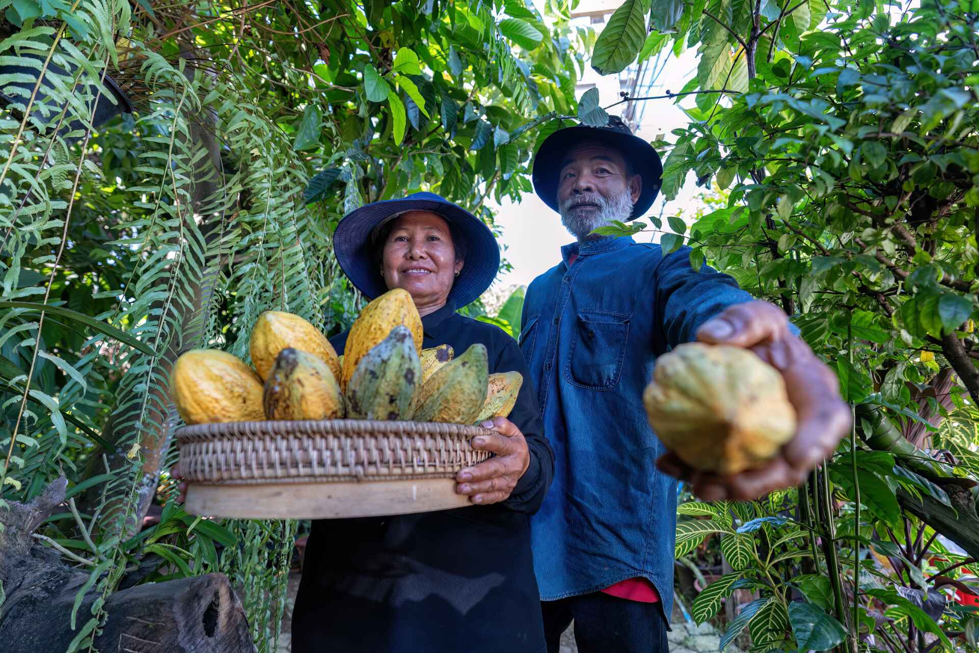 Gilardi Cioccolato - La frequenza del benessere