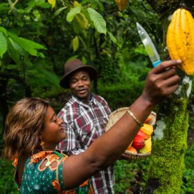 Cioccolato sostenibile, un consumo consapevole